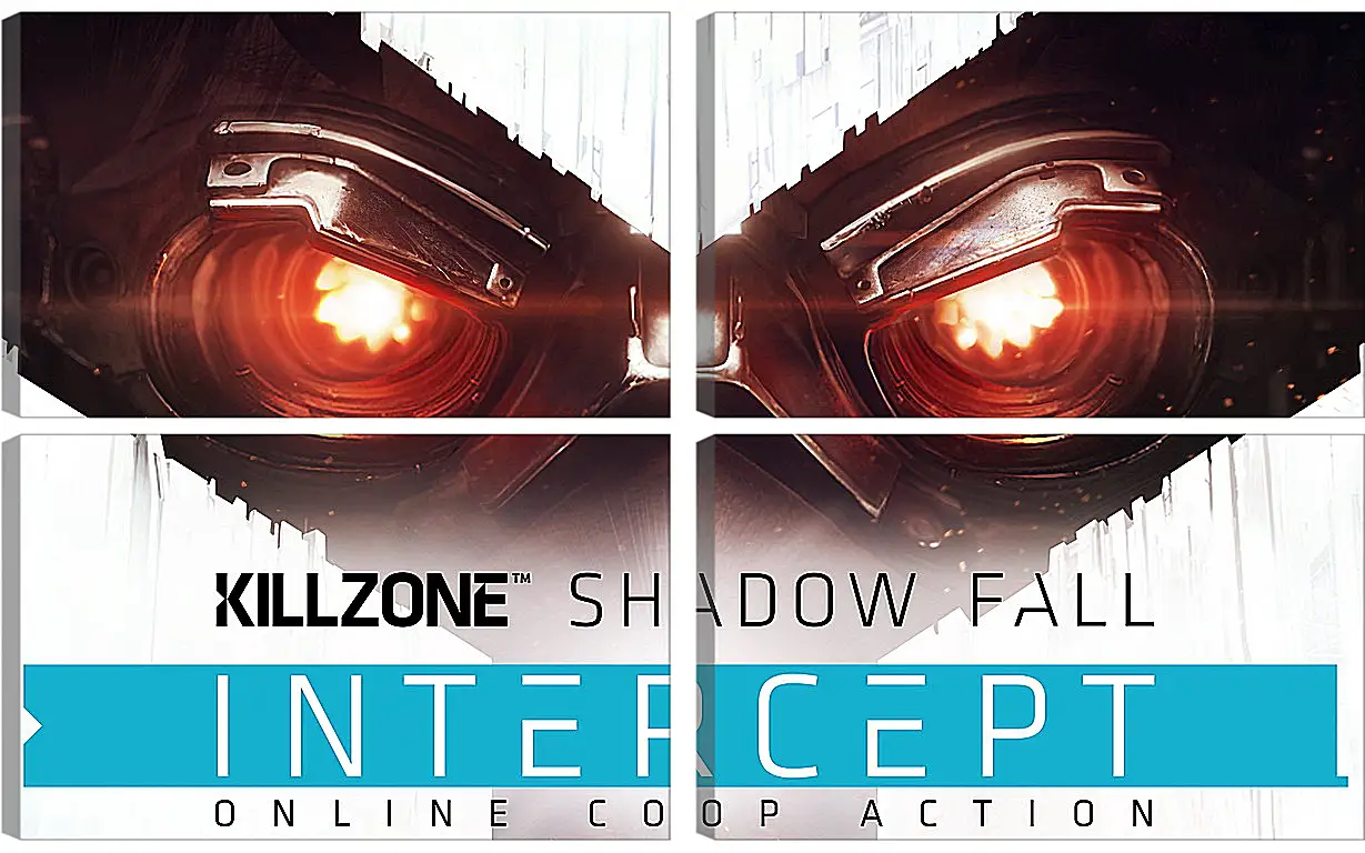 Модульная картина - Killzone: Shadow Fall
