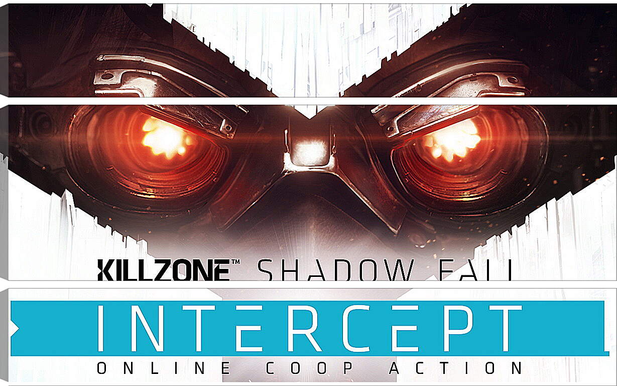 Модульная картина - Killzone: Shadow Fall
