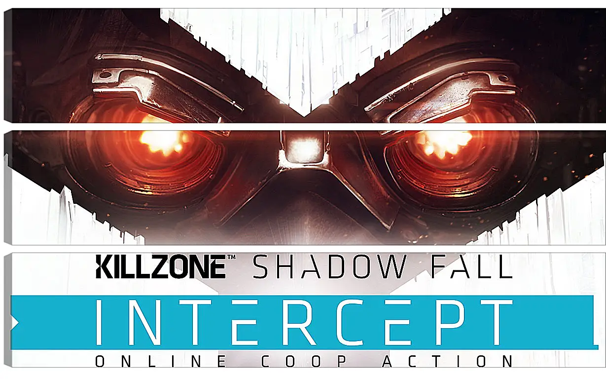 Модульная картина - Killzone: Shadow Fall
