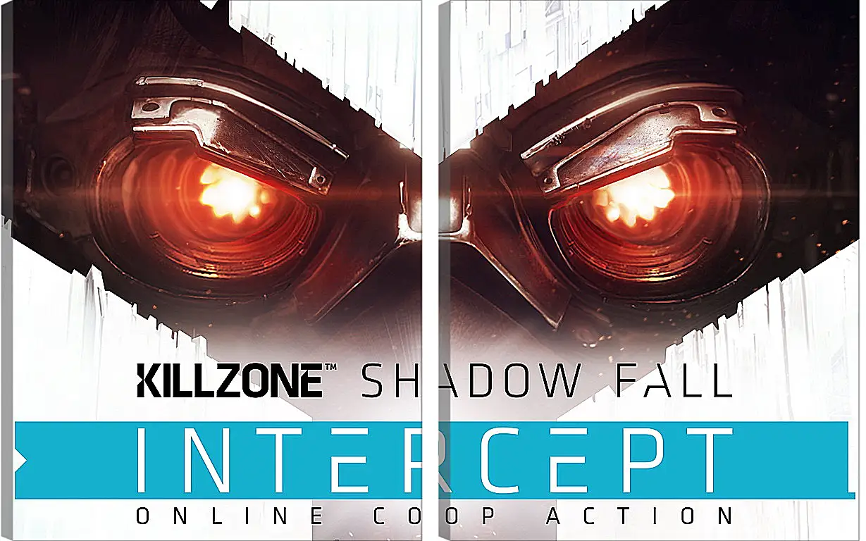 Модульная картина - Killzone: Shadow Fall
