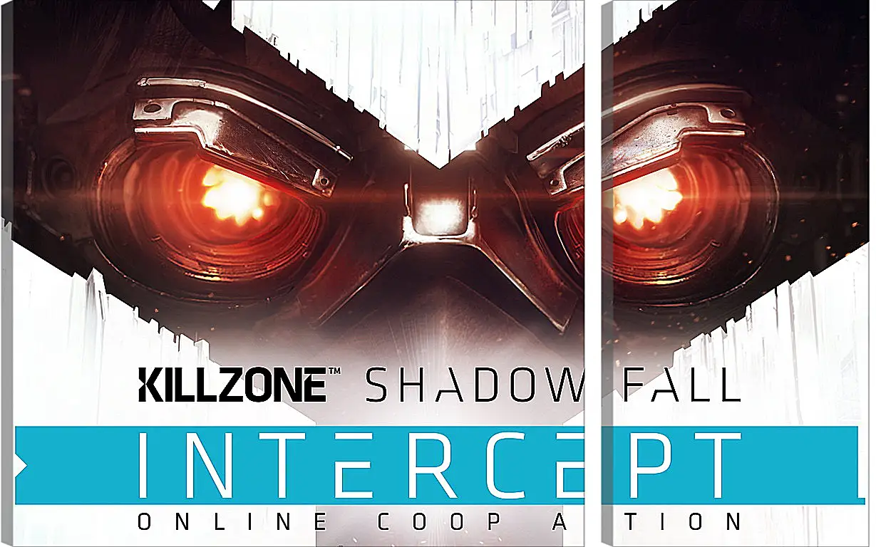 Модульная картина - Killzone: Shadow Fall
