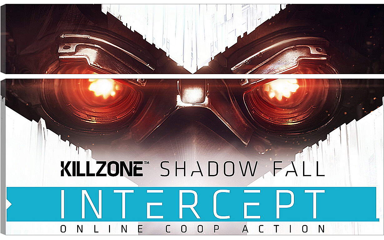 Модульная картина - Killzone: Shadow Fall
