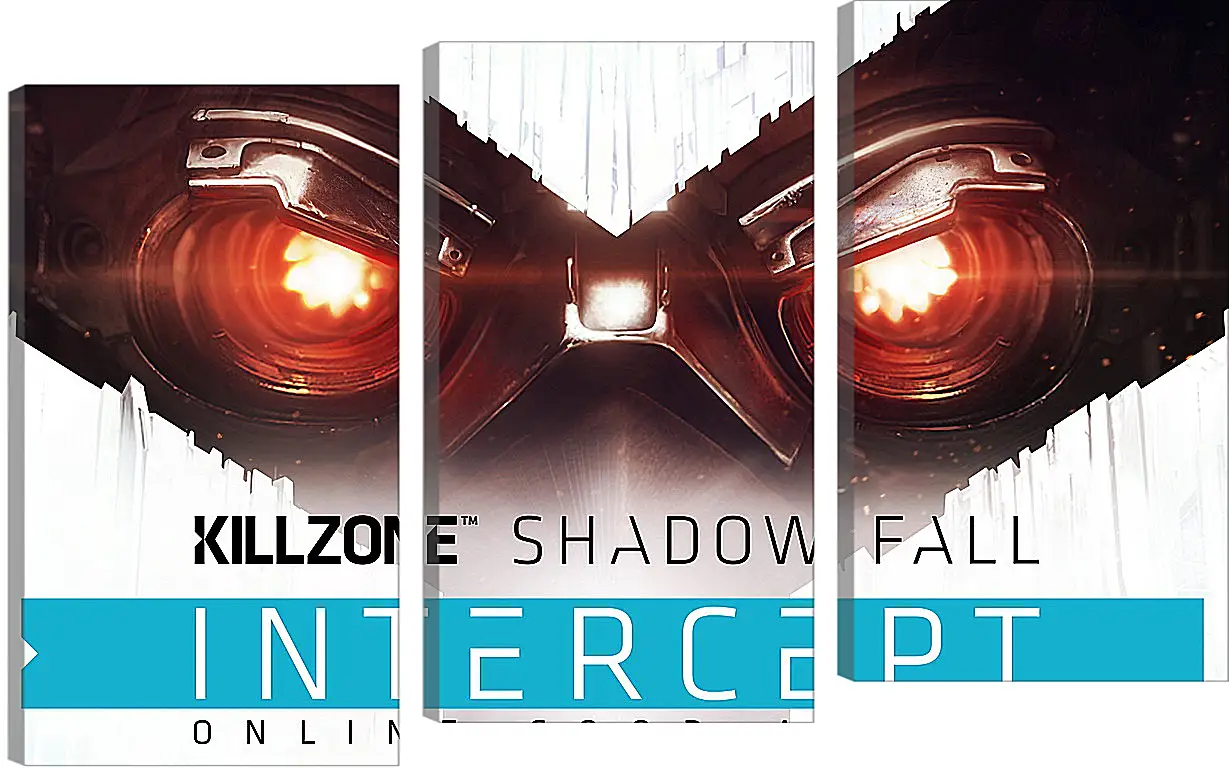 Модульная картина - Killzone: Shadow Fall
