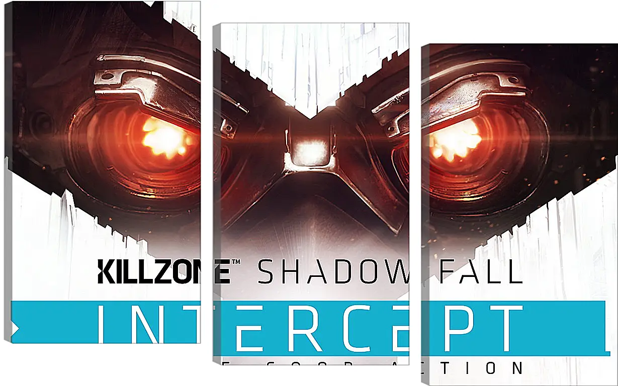 Модульная картина - Killzone: Shadow Fall
