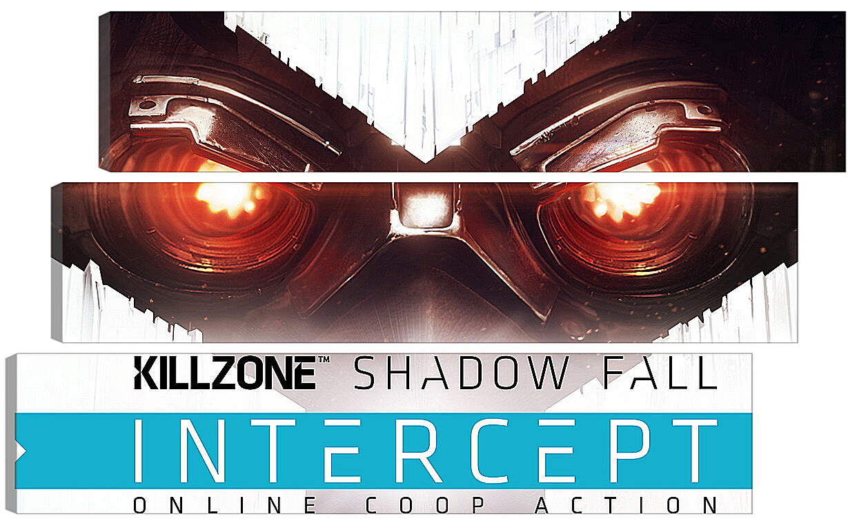 Модульная картина - Killzone: Shadow Fall
