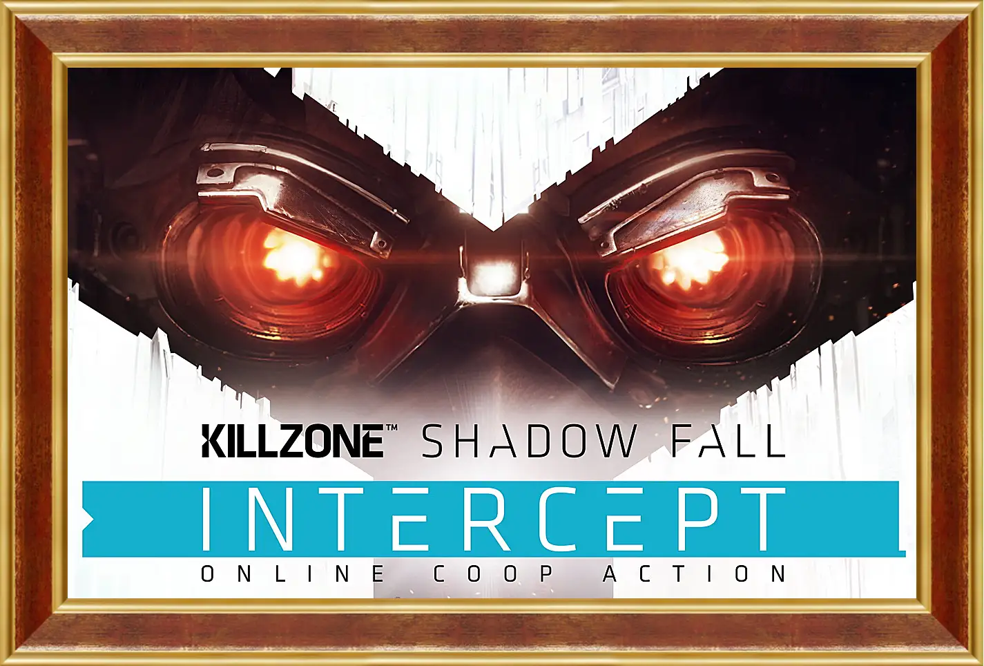 Картина в раме - Killzone: Shadow Fall
