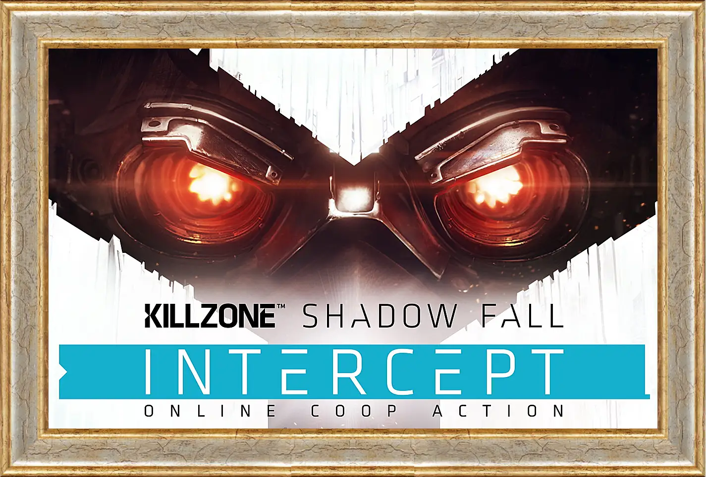 Картина в раме - Killzone: Shadow Fall
