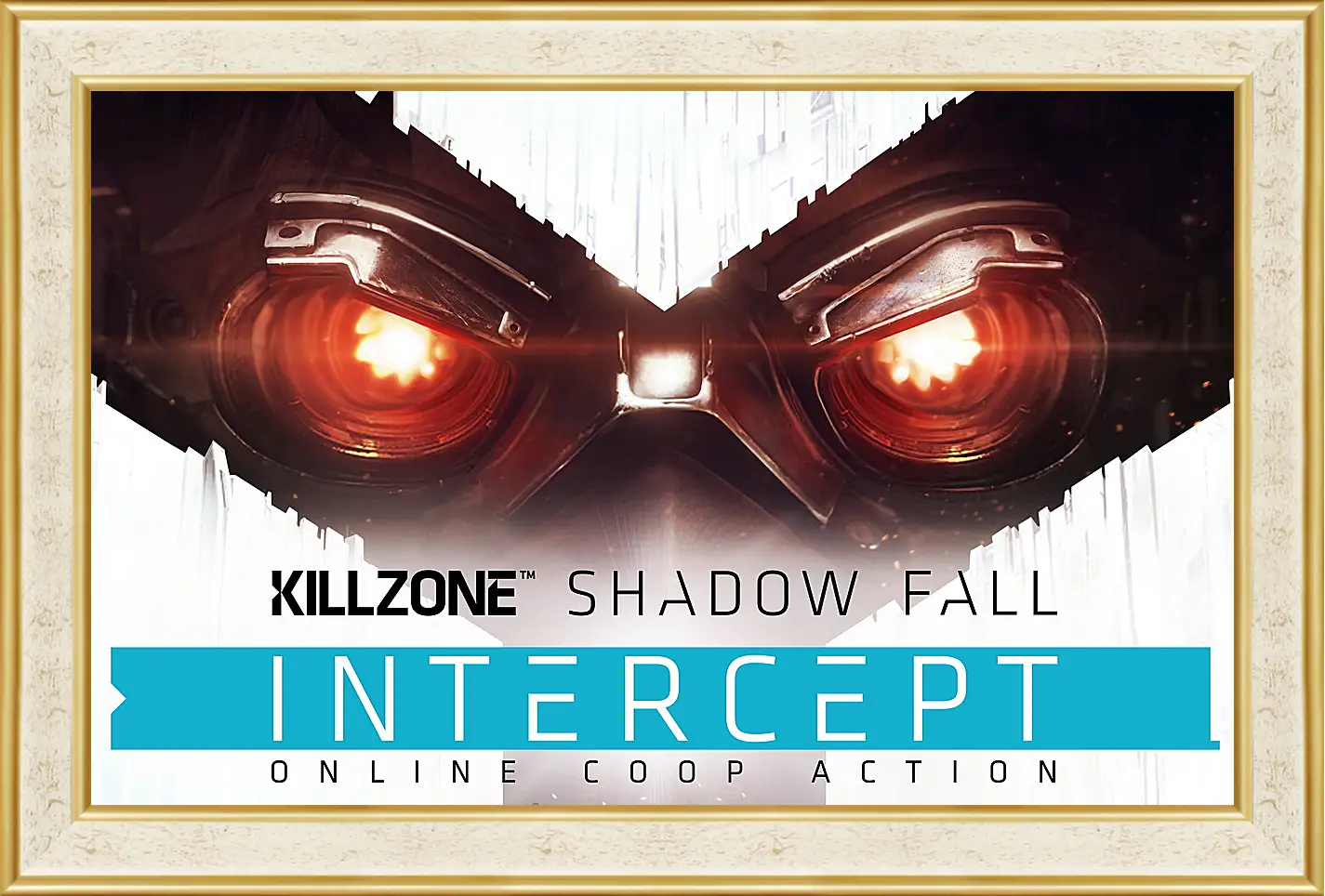 Картина в раме - Killzone: Shadow Fall
