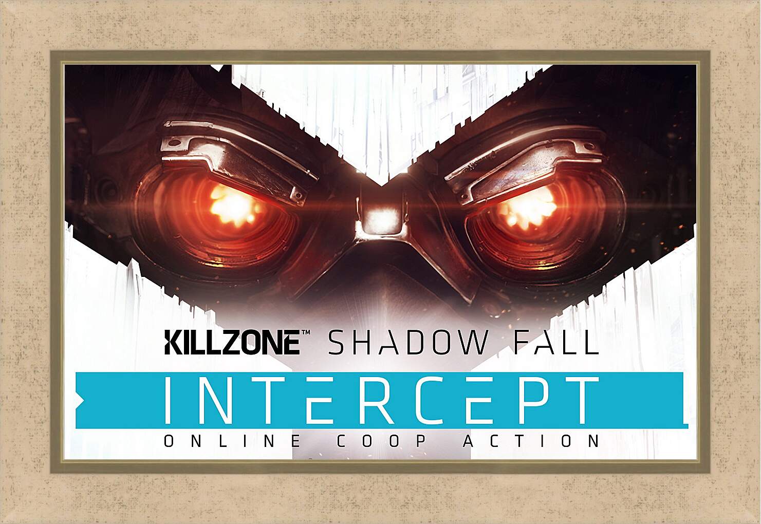 Картина в раме - Killzone: Shadow Fall
