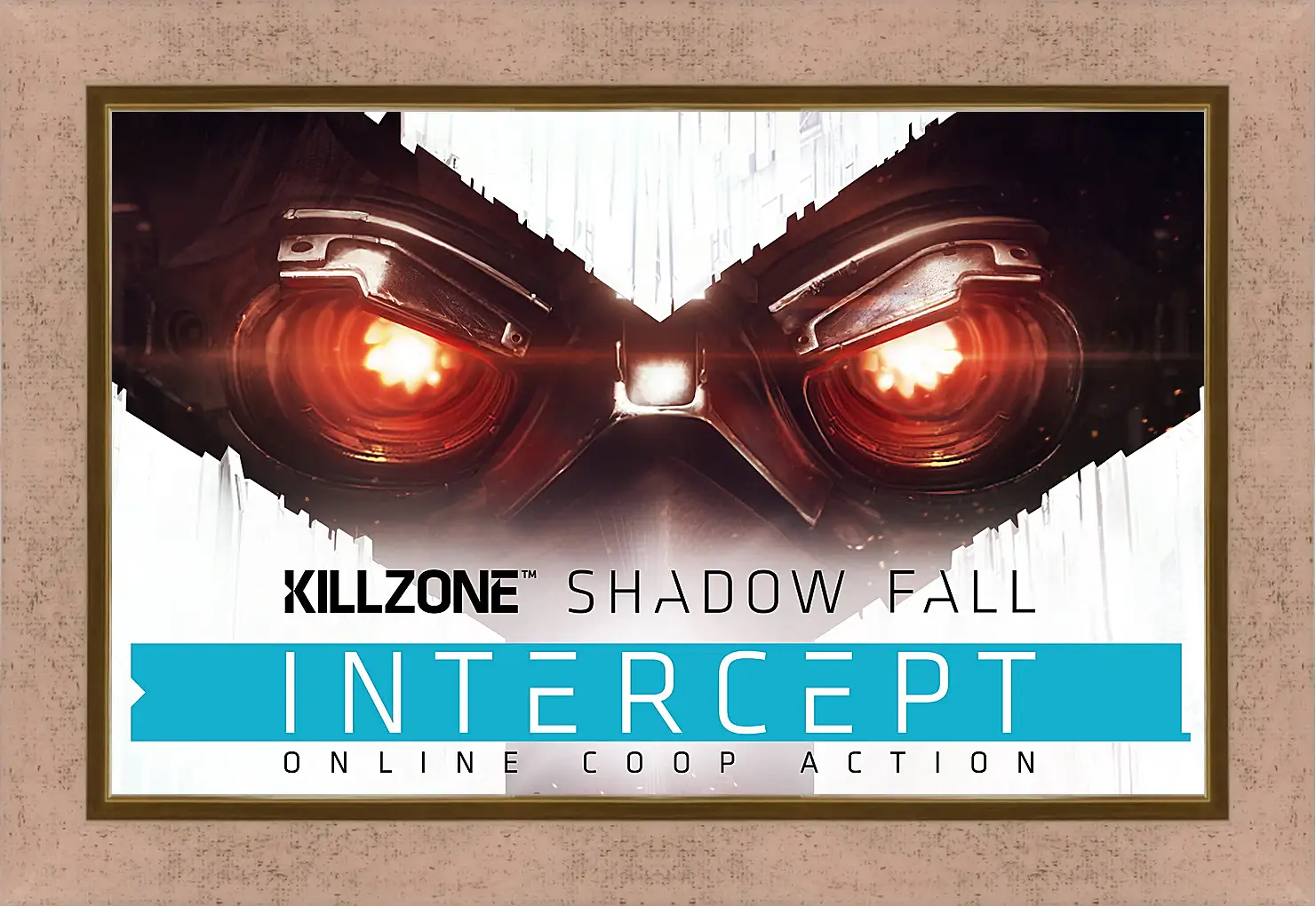 Картина в раме - Killzone: Shadow Fall
