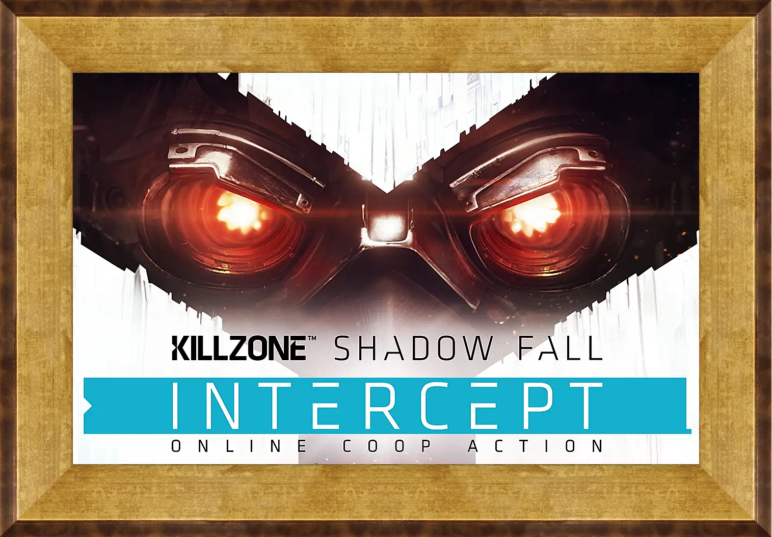 Картина в раме - Killzone: Shadow Fall
