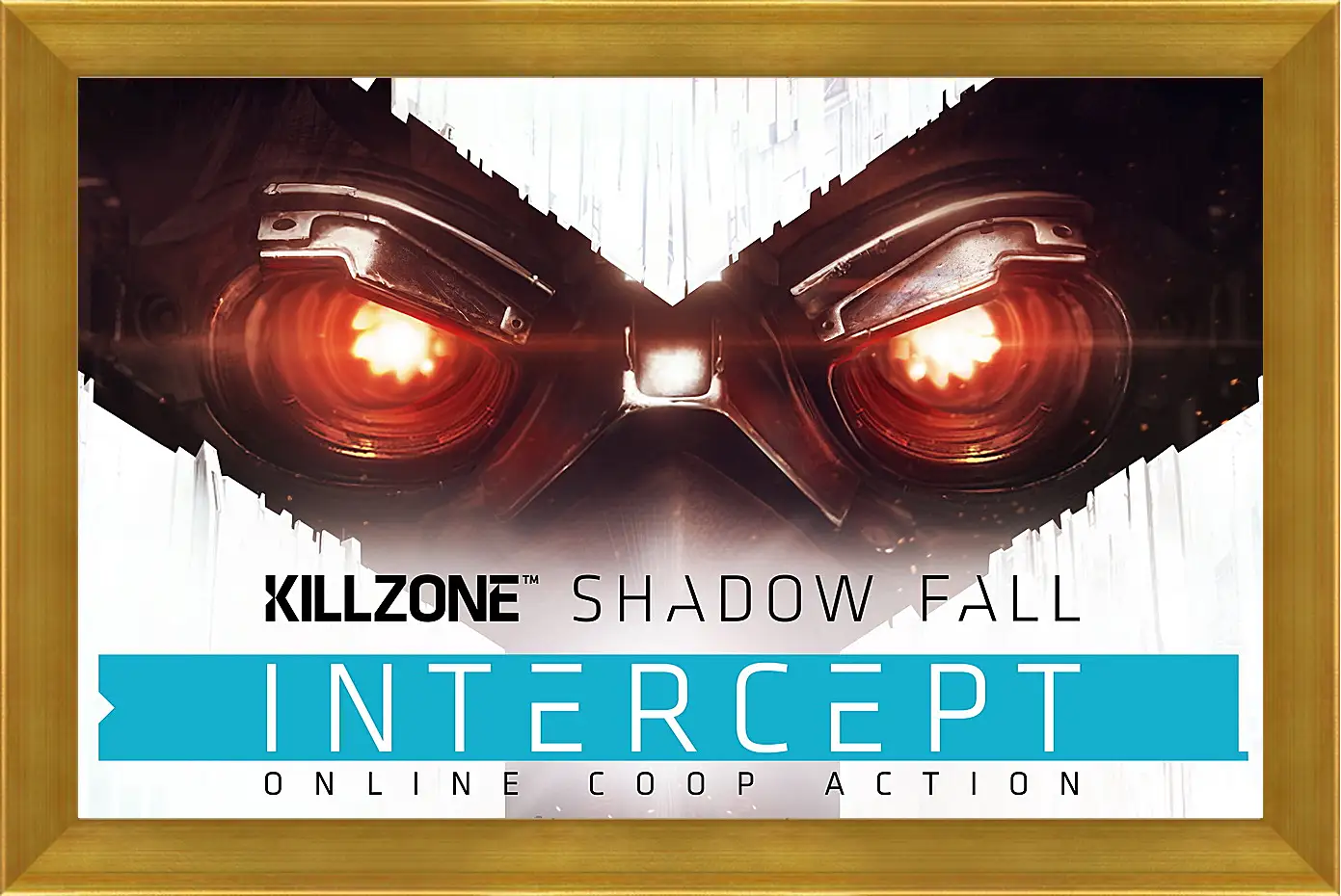 Картина в раме - Killzone: Shadow Fall
