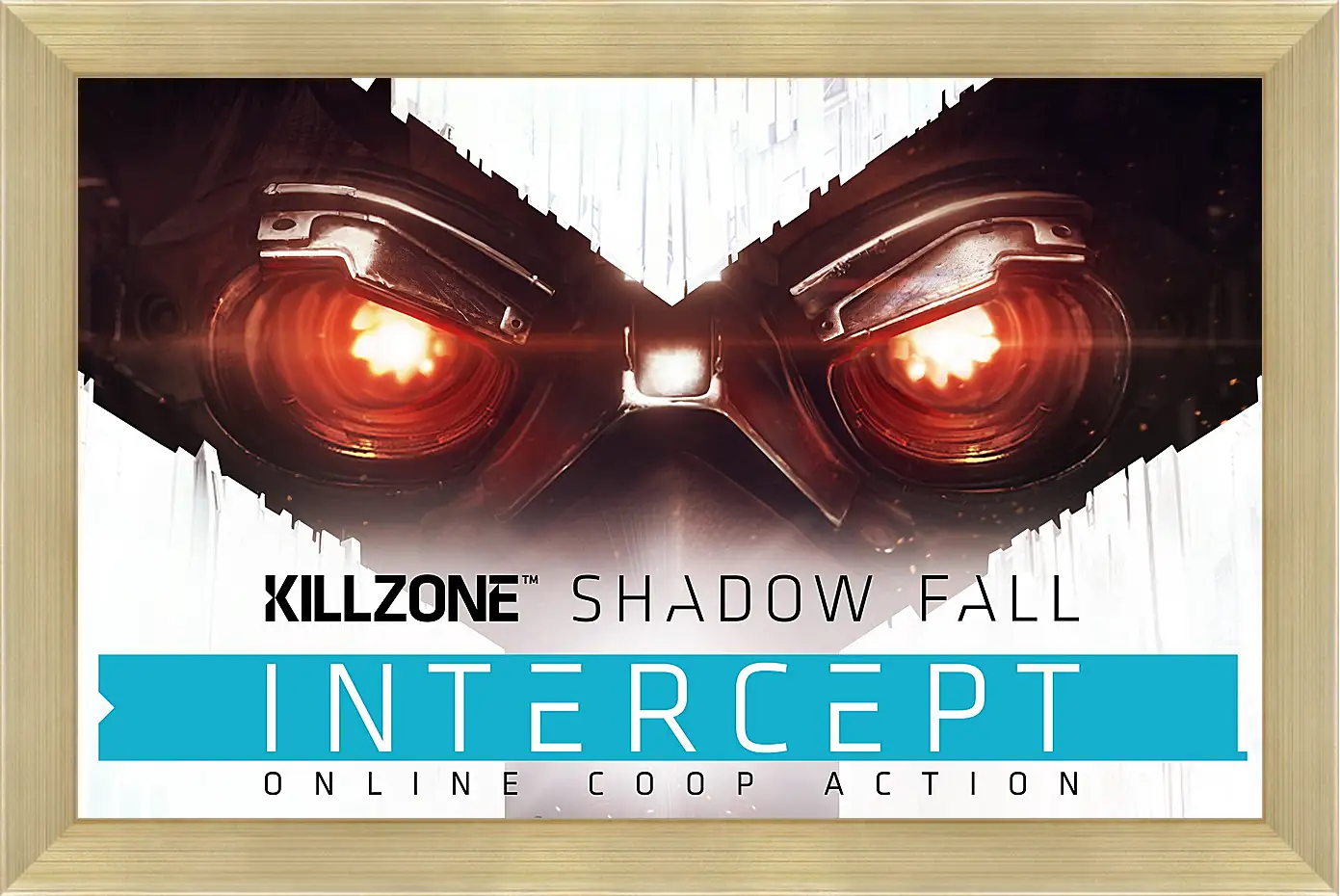 Картина в раме - Killzone: Shadow Fall
