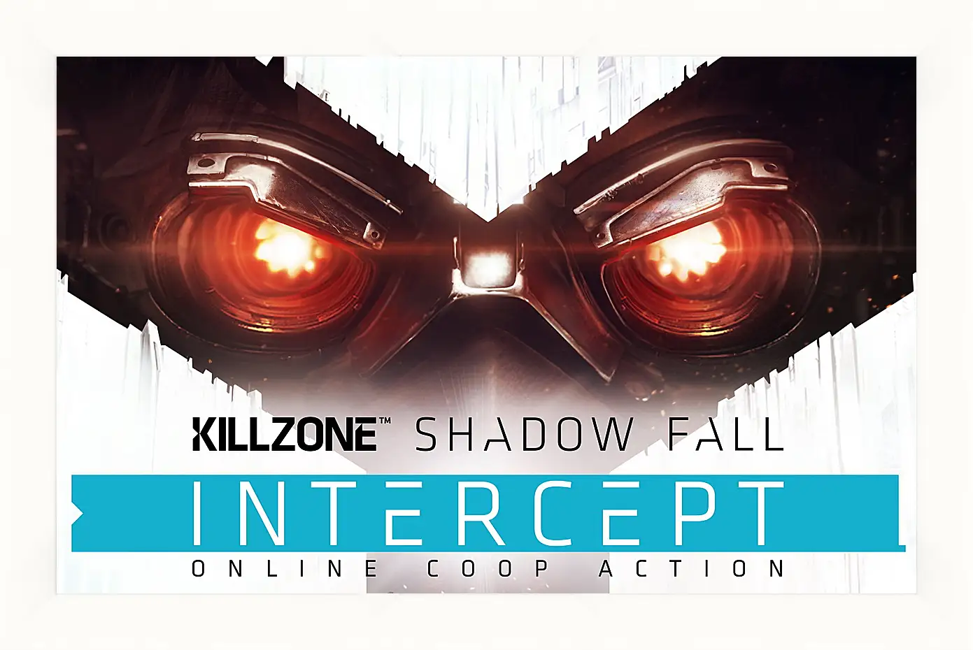 Картина в раме - Killzone: Shadow Fall
