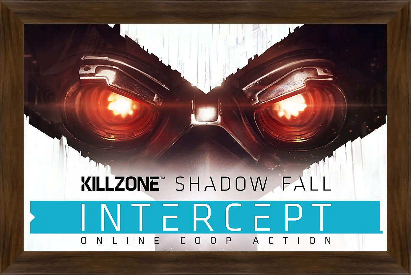 Картина в раме - Killzone: Shadow Fall
