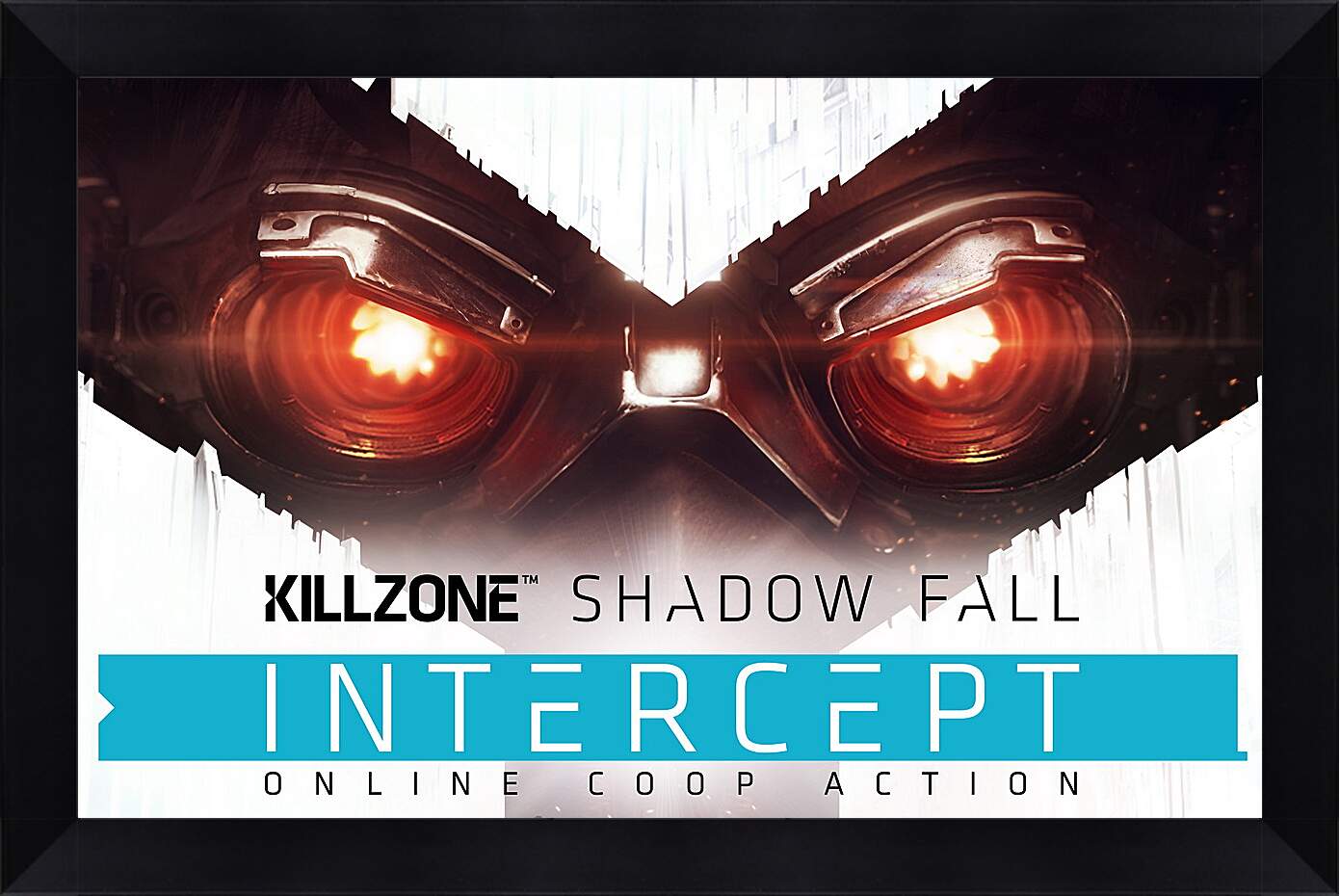 Картина в раме - Killzone: Shadow Fall
