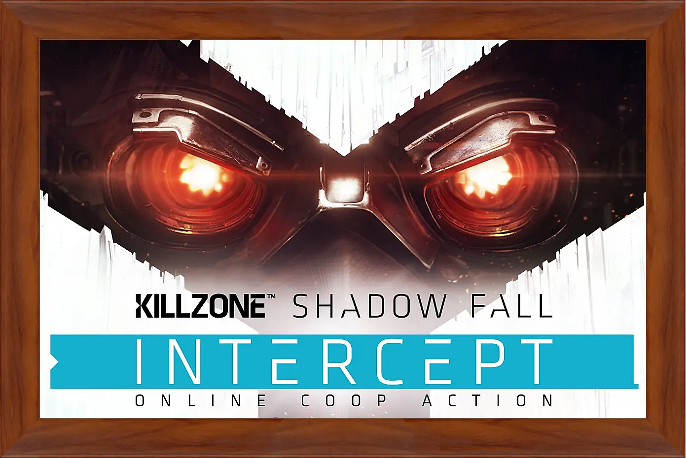 Картина в раме - Killzone: Shadow Fall
