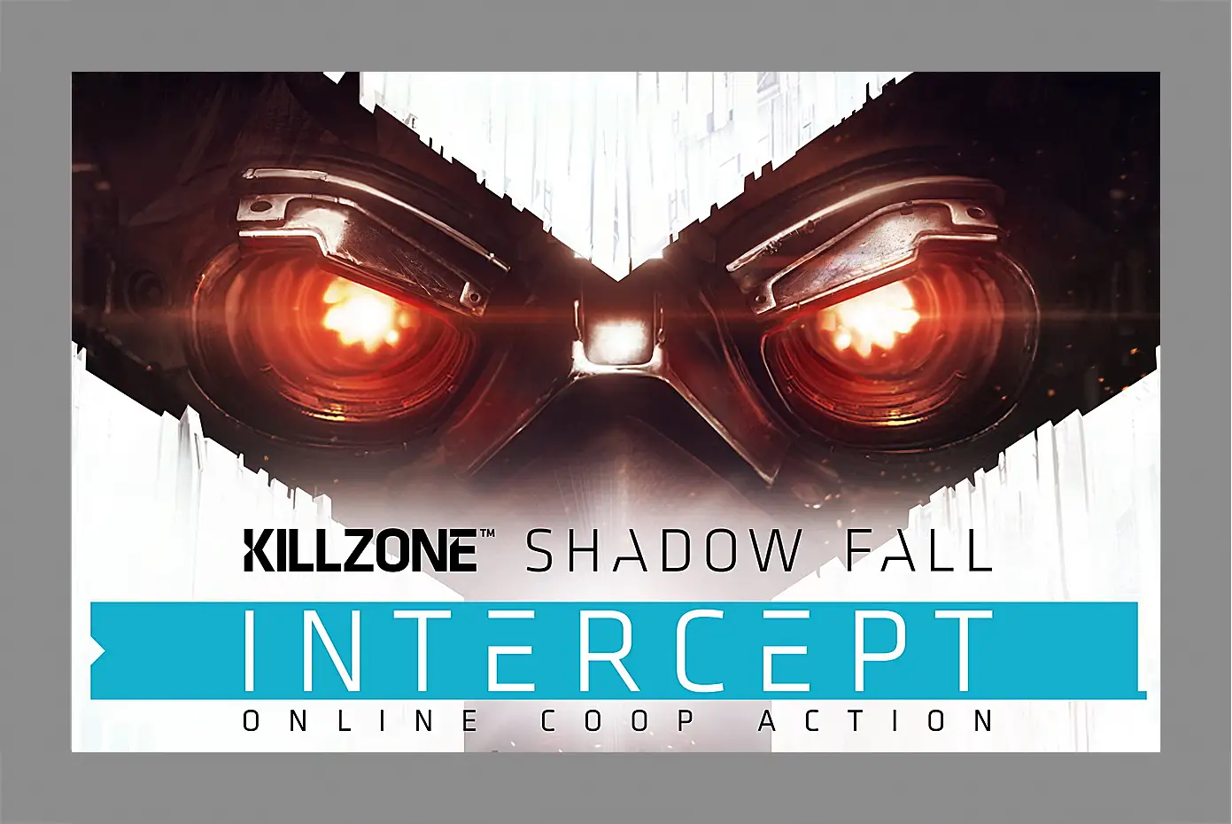 Картина в раме - Killzone: Shadow Fall
