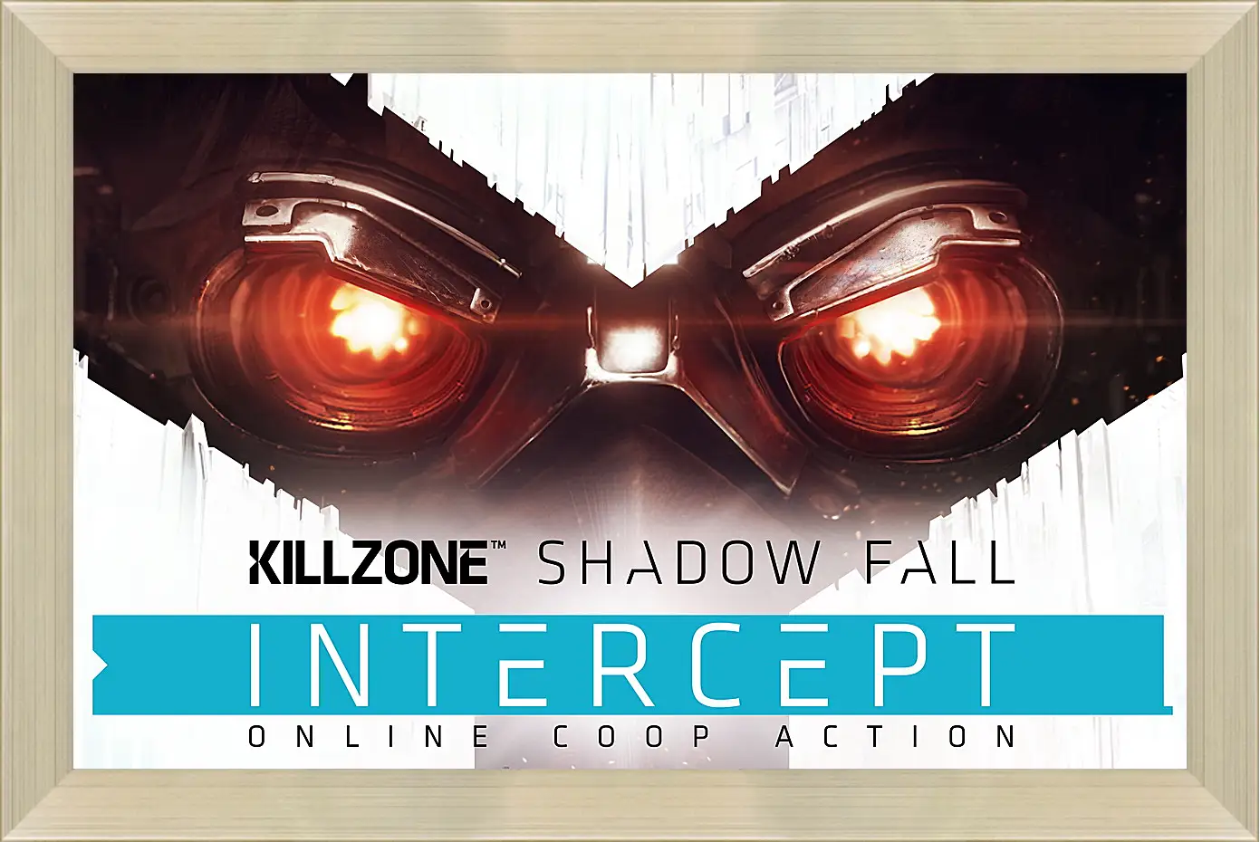 Картина в раме - Killzone: Shadow Fall
