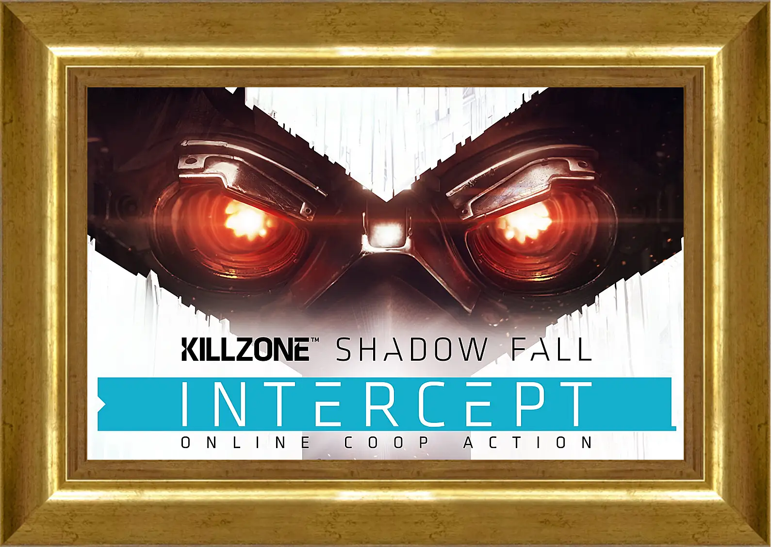 Картина в раме - Killzone: Shadow Fall
