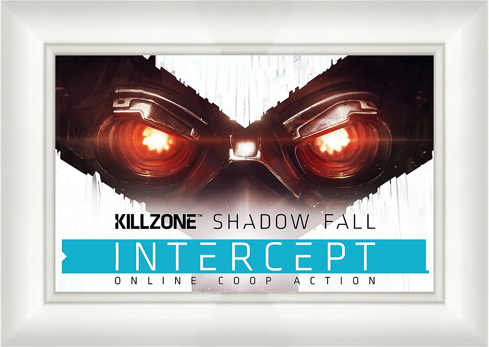 Картина в раме - Killzone: Shadow Fall
