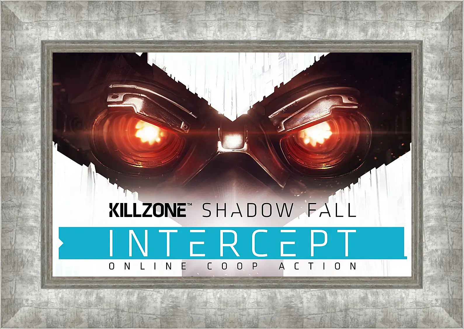 Картина в раме - Killzone: Shadow Fall
