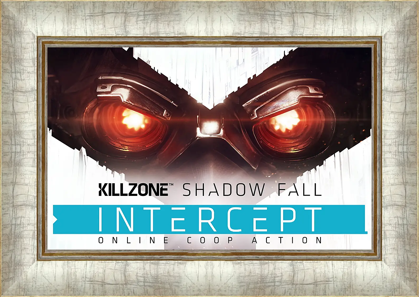 Картина в раме - Killzone: Shadow Fall
