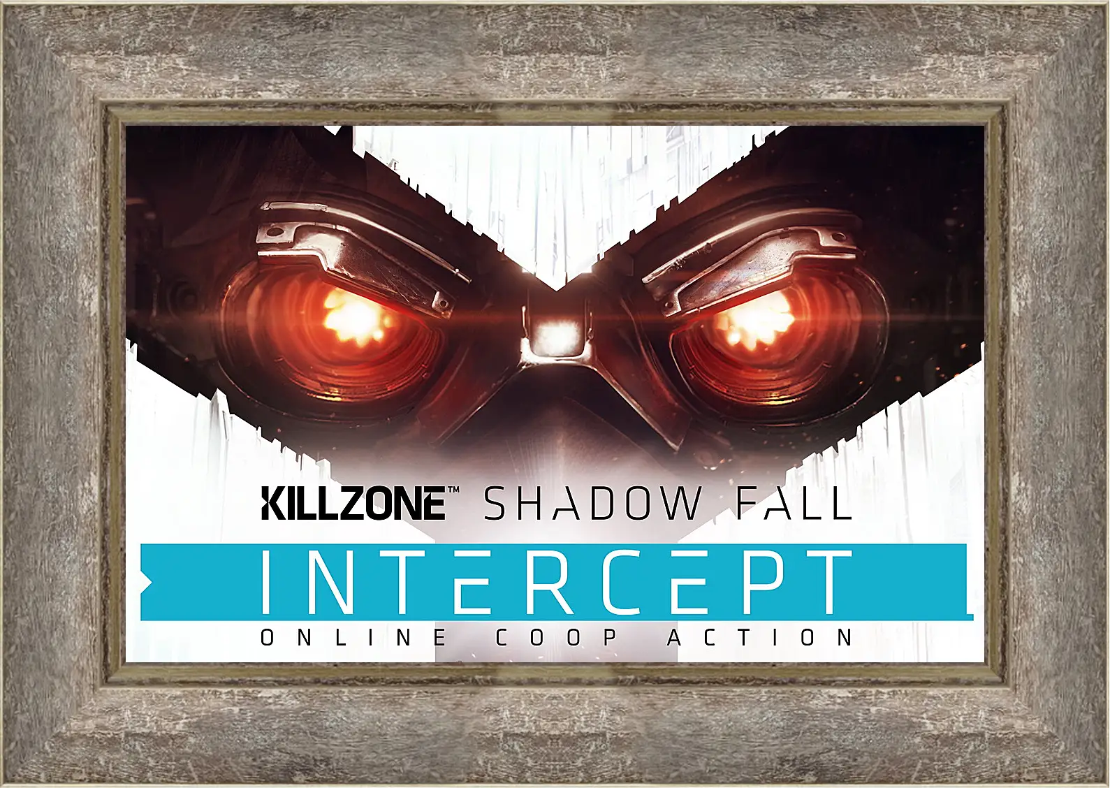 Картина в раме - Killzone: Shadow Fall
