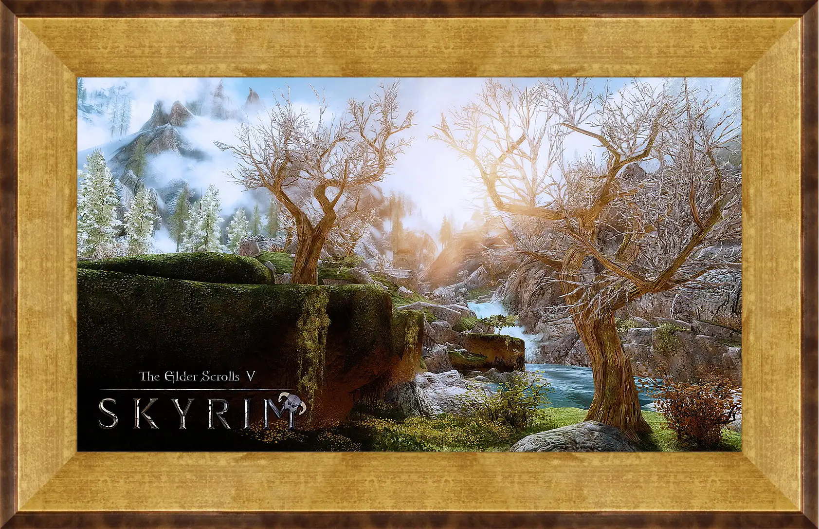 Картина в раме - The Elder Scrolls V: Skyrim
