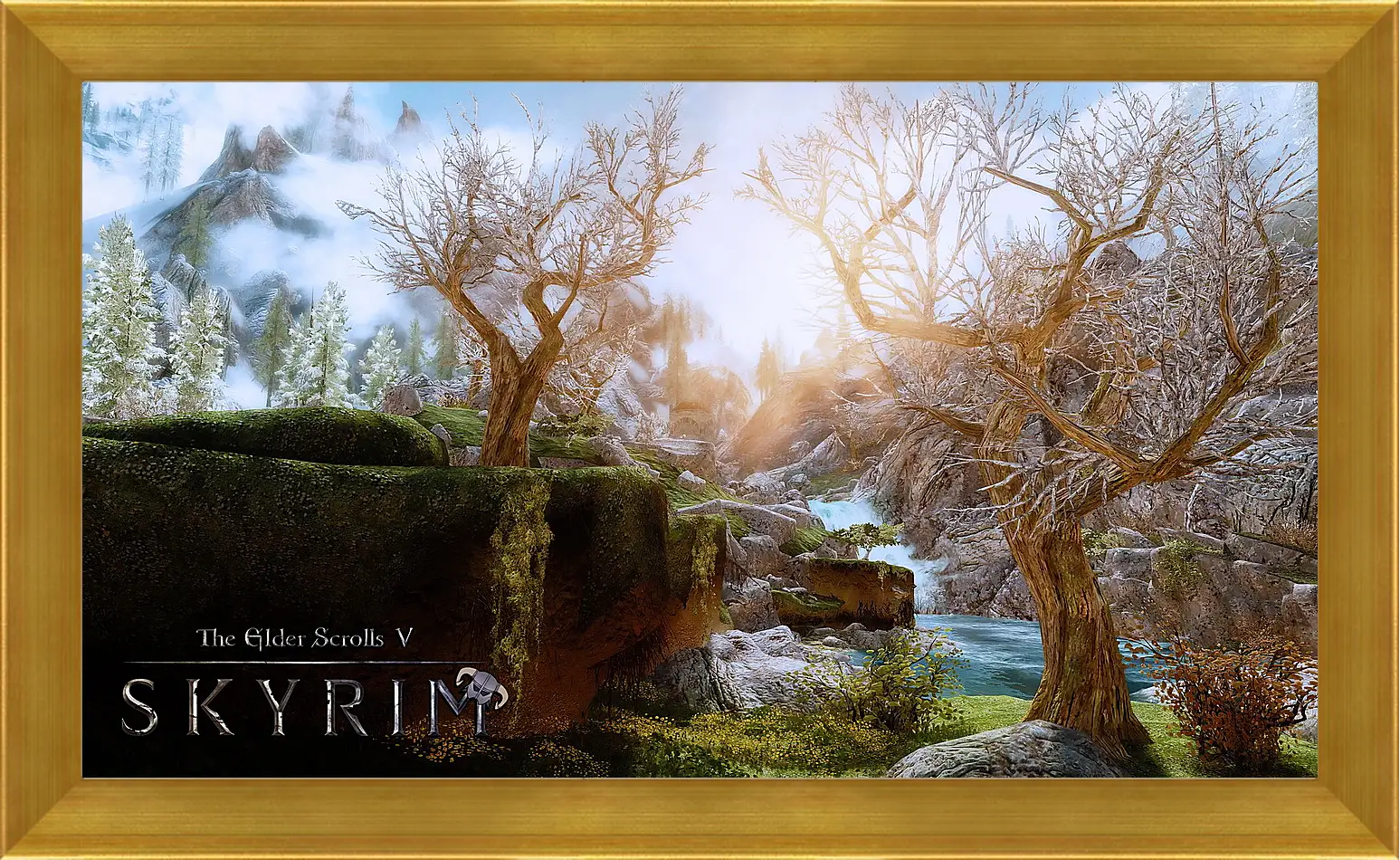 Картина в раме - The Elder Scrolls V: Skyrim
