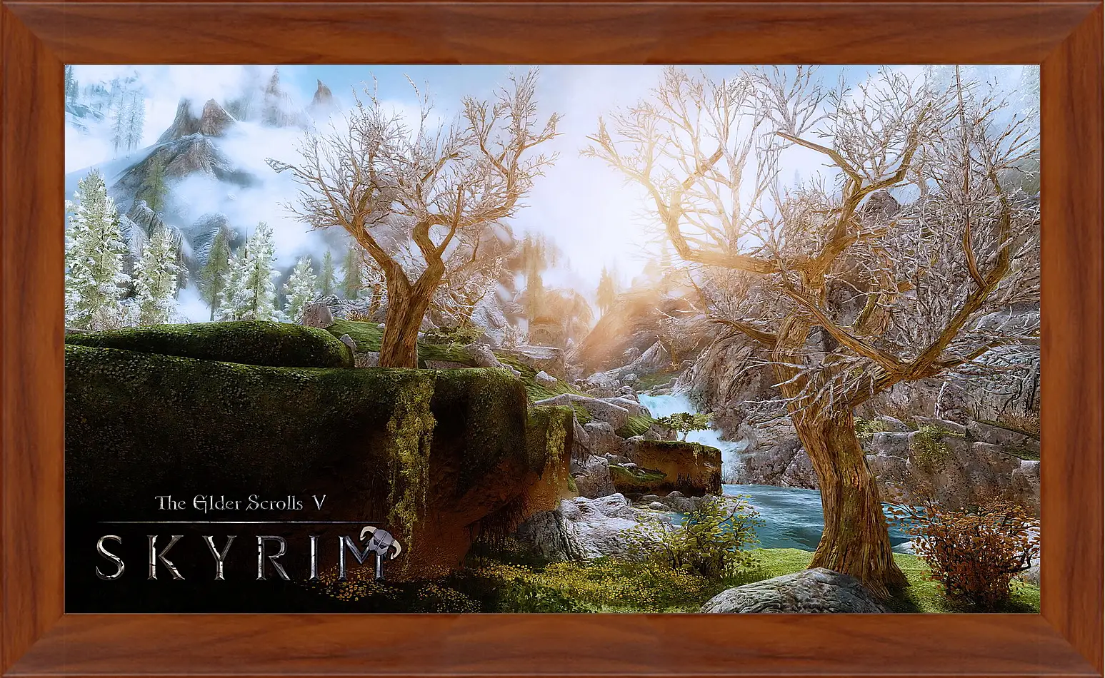 Картина в раме - The Elder Scrolls V: Skyrim
