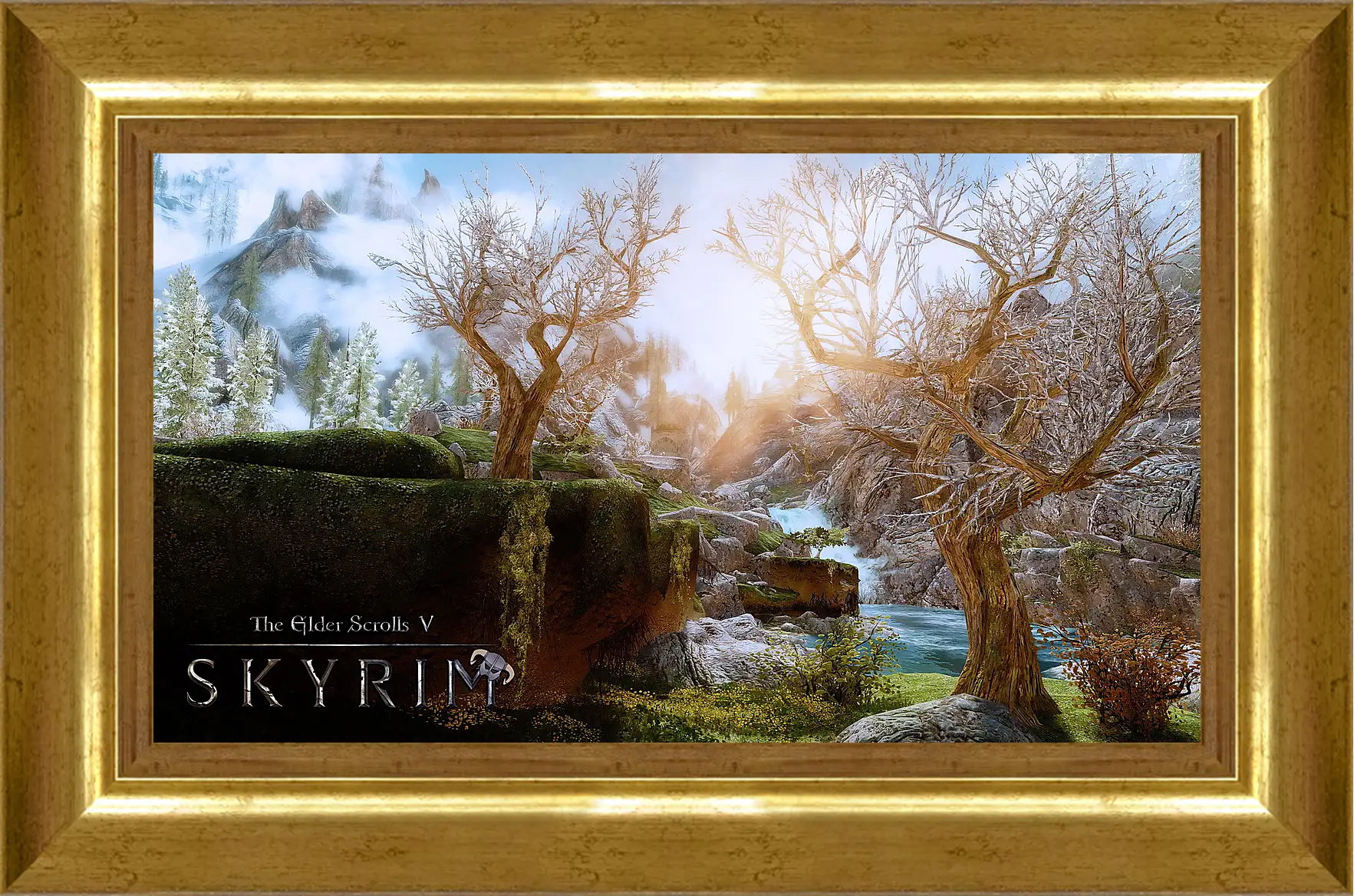 Картина в раме - The Elder Scrolls V: Skyrim
