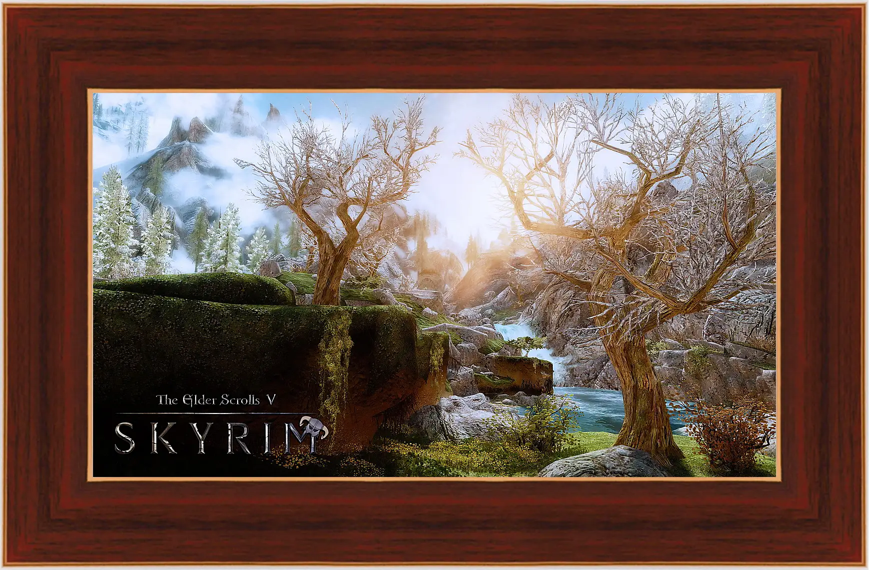 Картина в раме - The Elder Scrolls V: Skyrim
