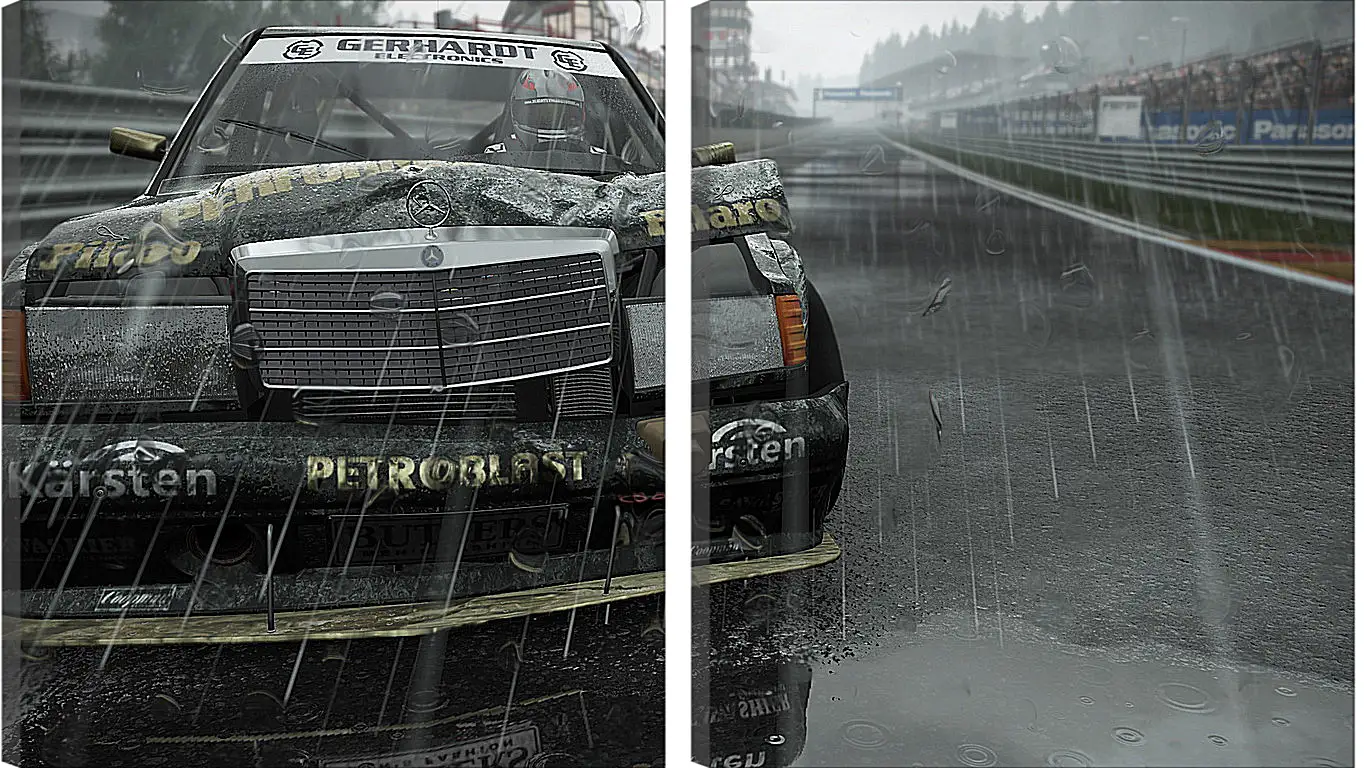 Модульная картина - Project Cars
