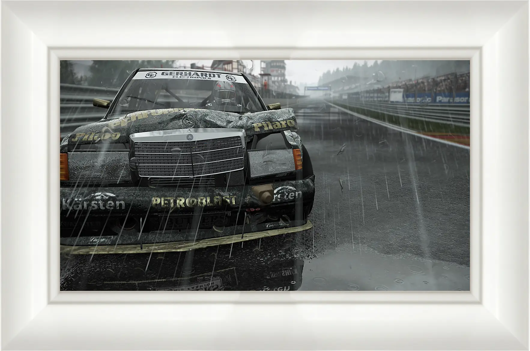 Картина в раме - Project Cars
