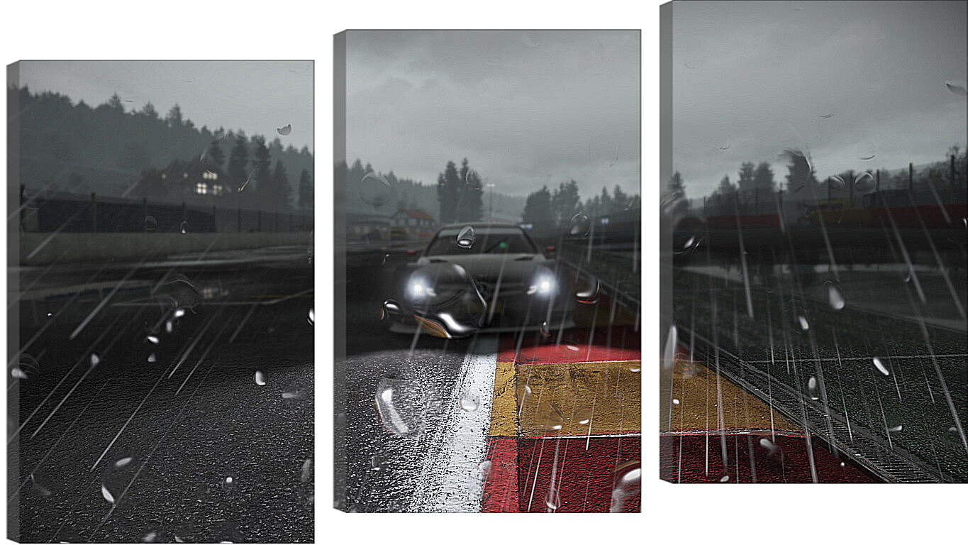 Модульная картина - Project Cars

