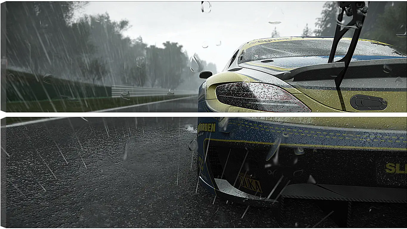 Модульная картина - Project Cars
