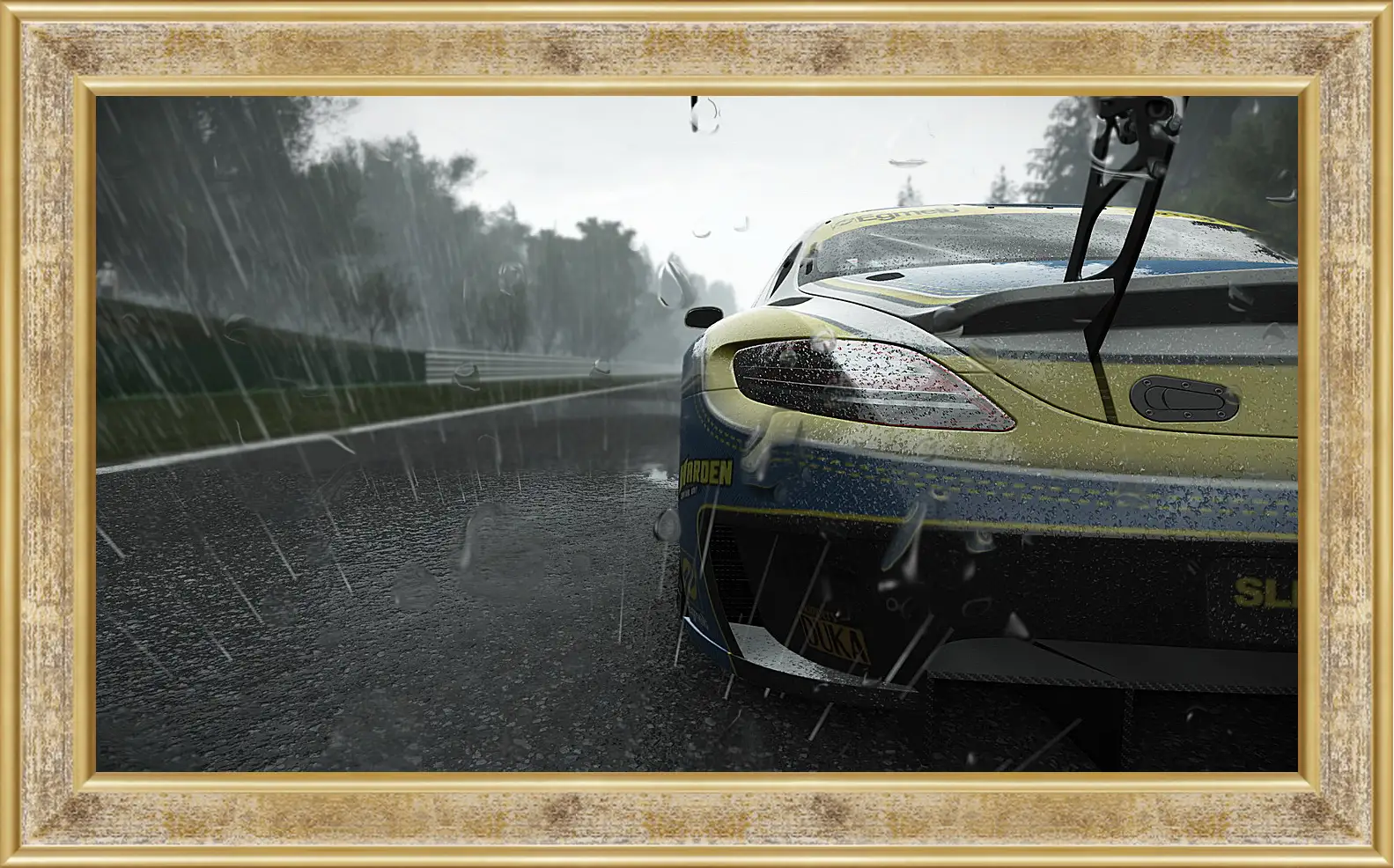 Картина в раме - Project Cars
