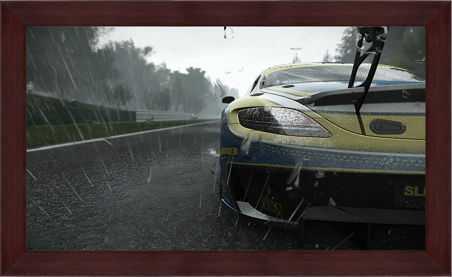 Картина в раме - Project Cars
