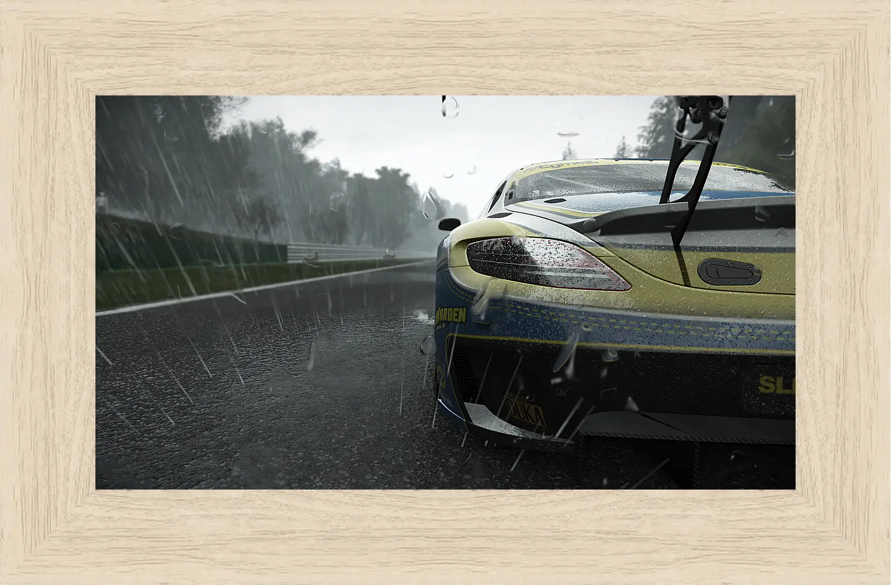 Картина в раме - Project Cars
