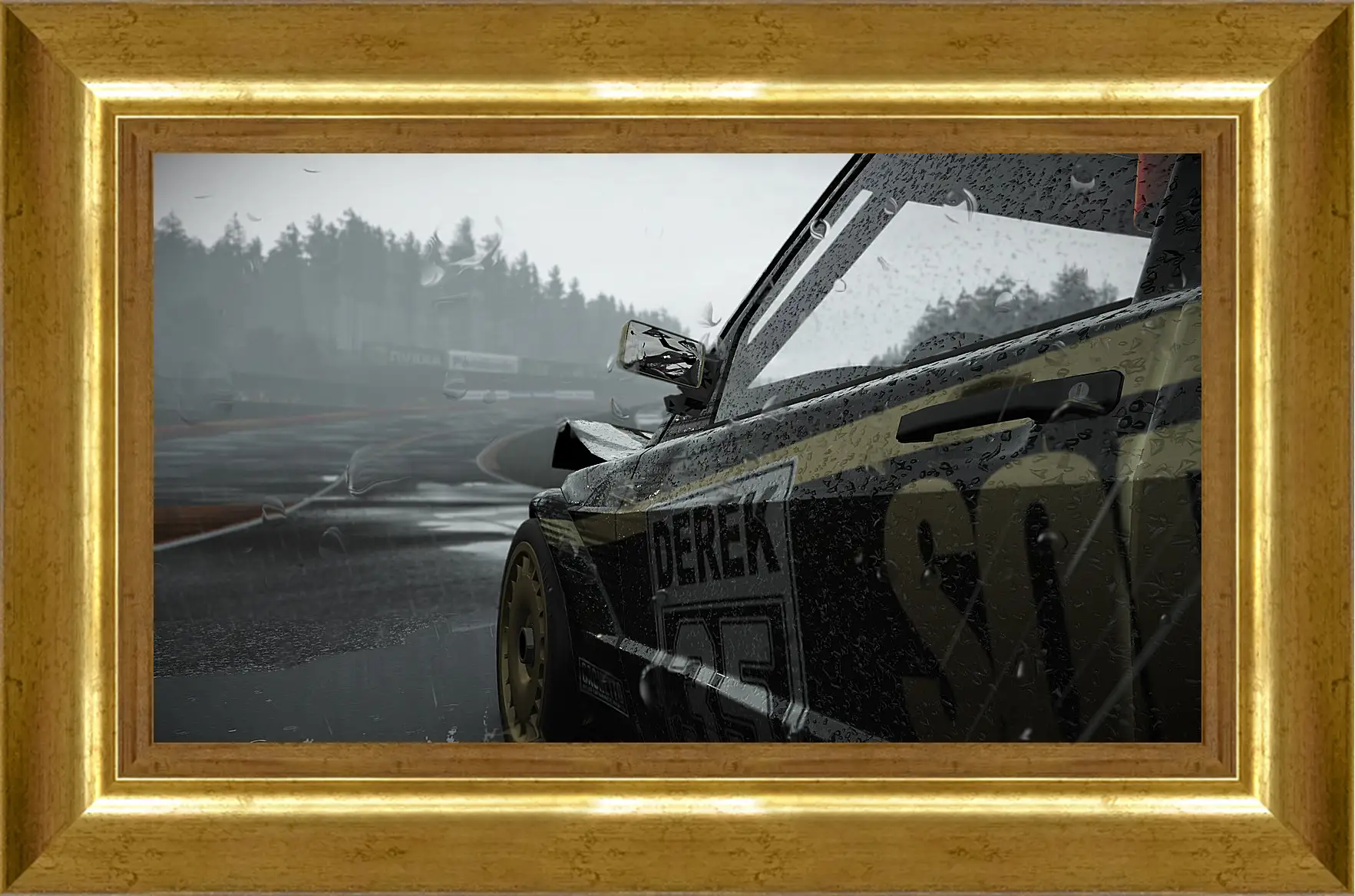 Картина в раме - Project Cars
