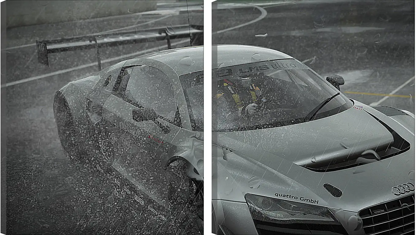 Модульная картина - Project Cars
