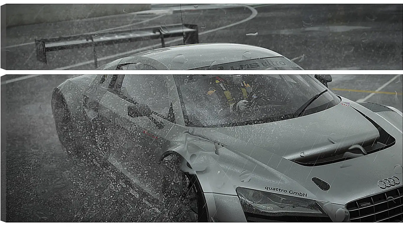 Модульная картина - Project Cars
