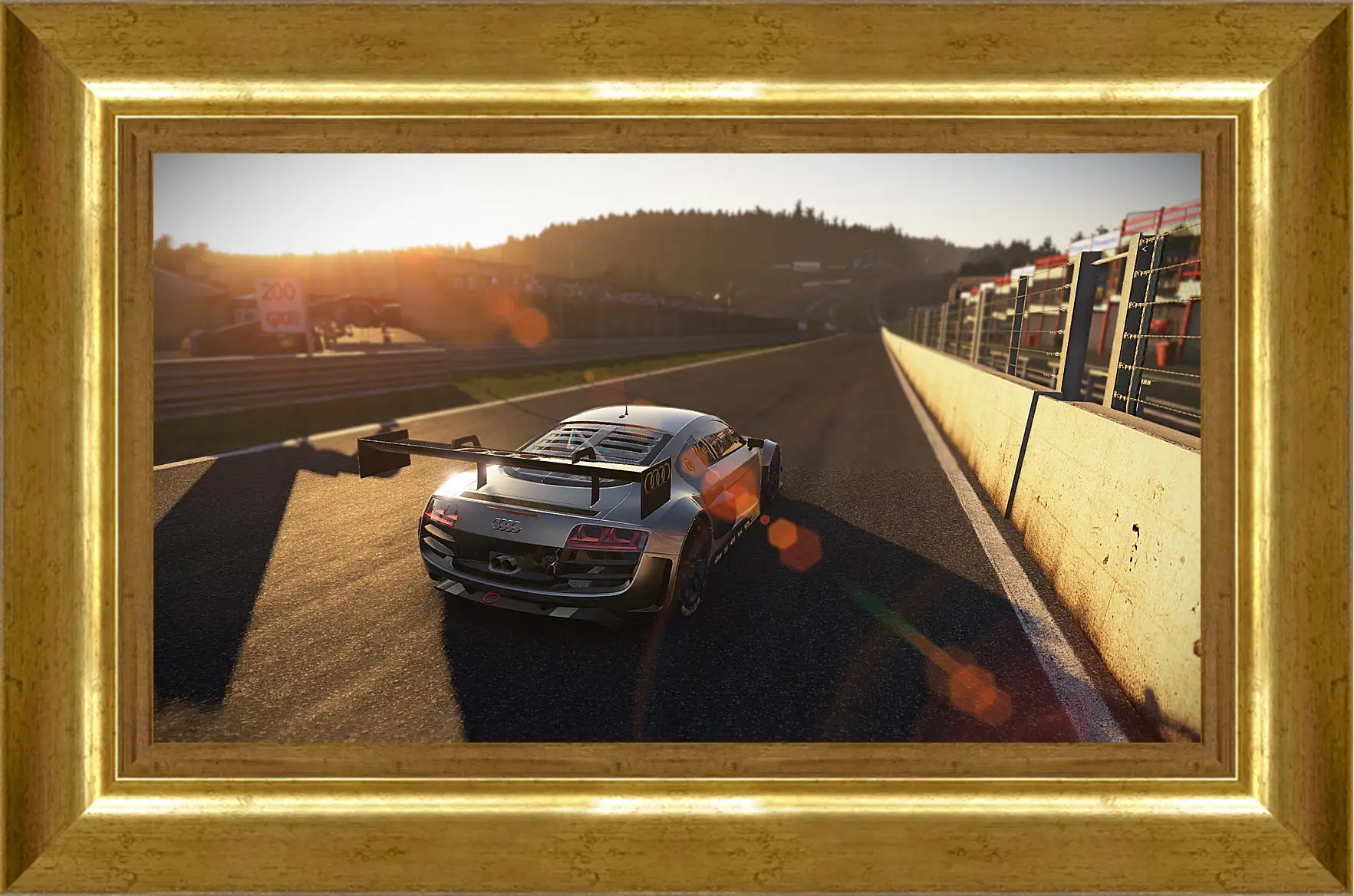 Картина в раме - Project Cars
