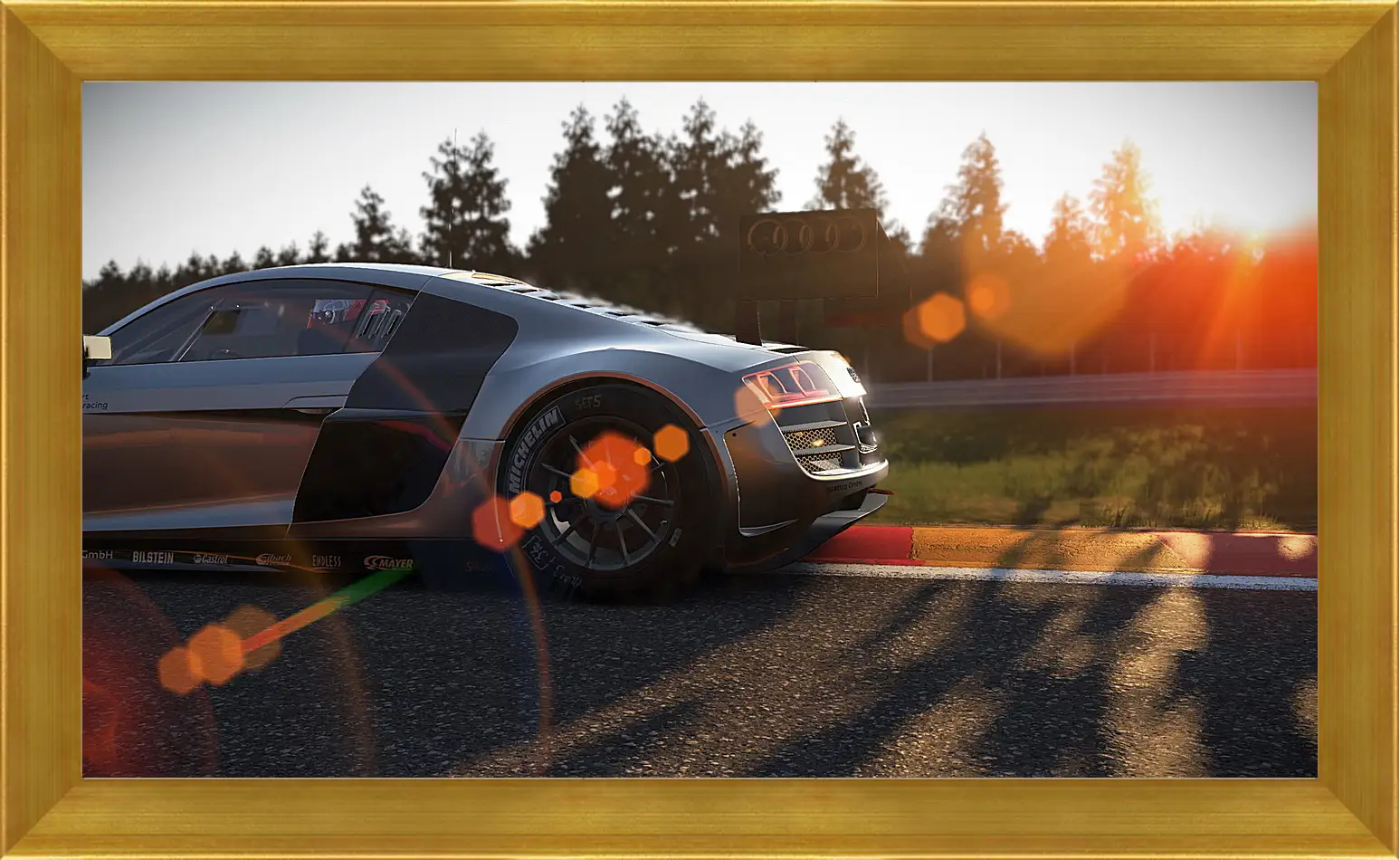 Картина в раме - Project Cars
