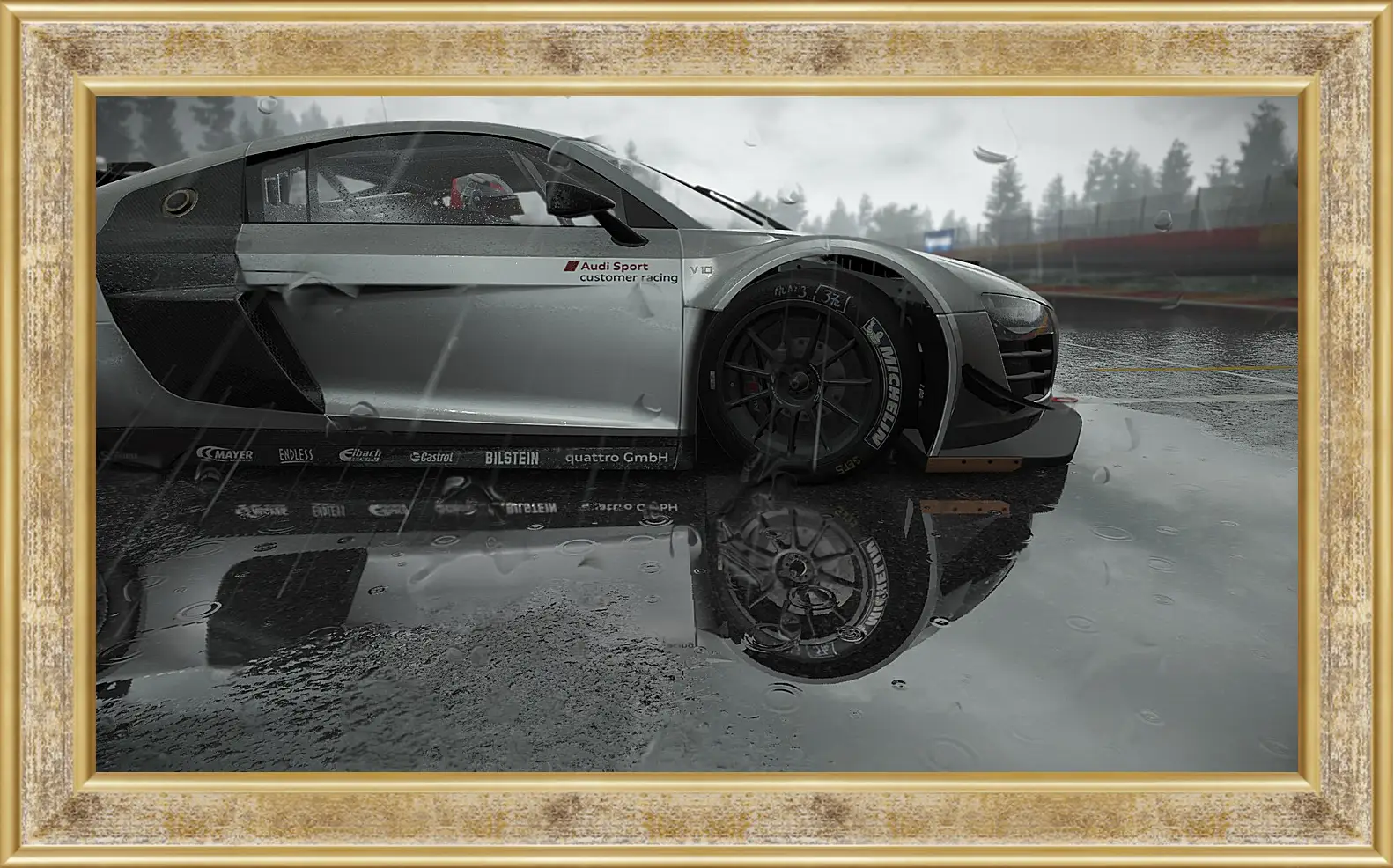 Картина в раме - Project Cars
