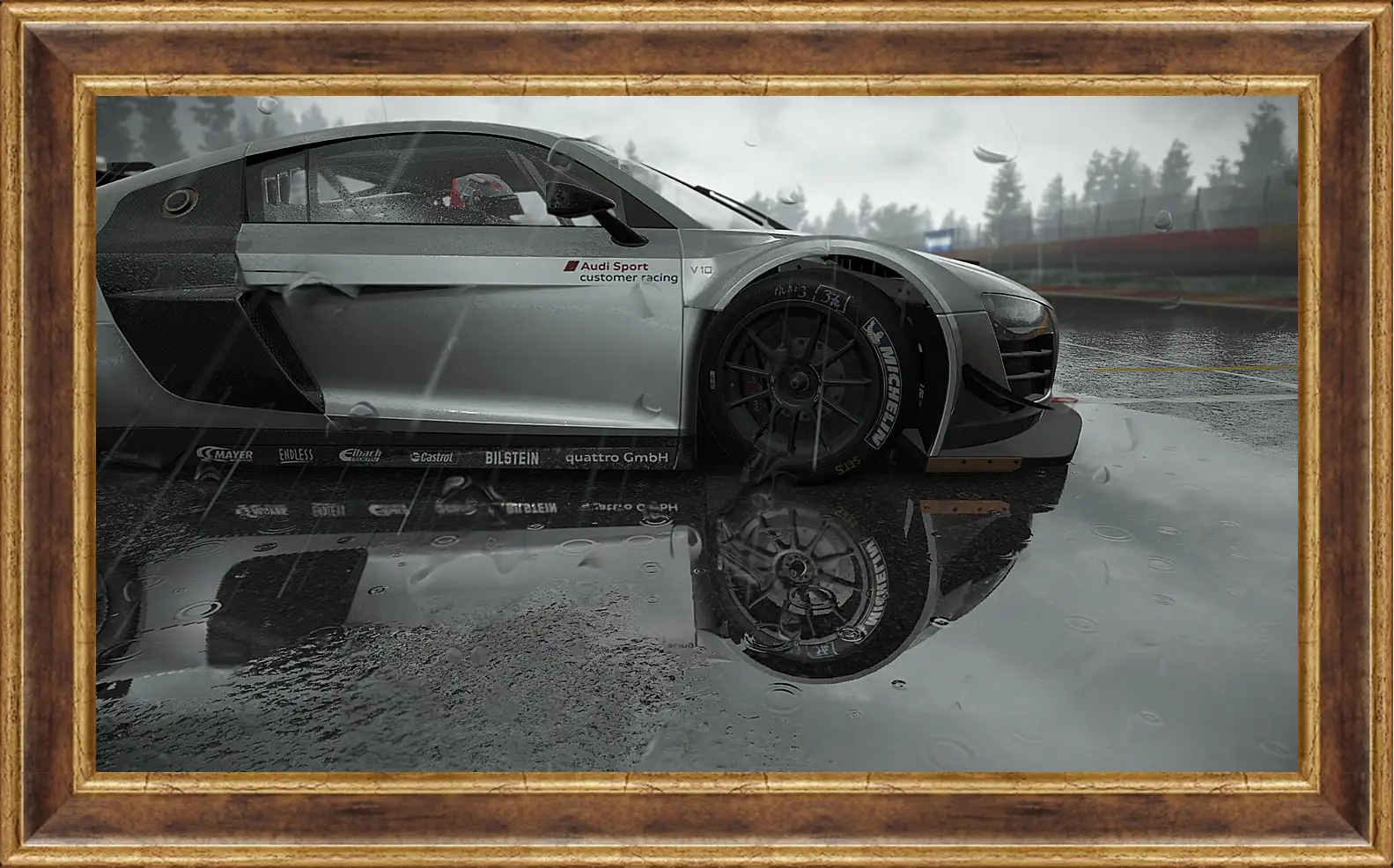 Картина в раме - Project Cars
