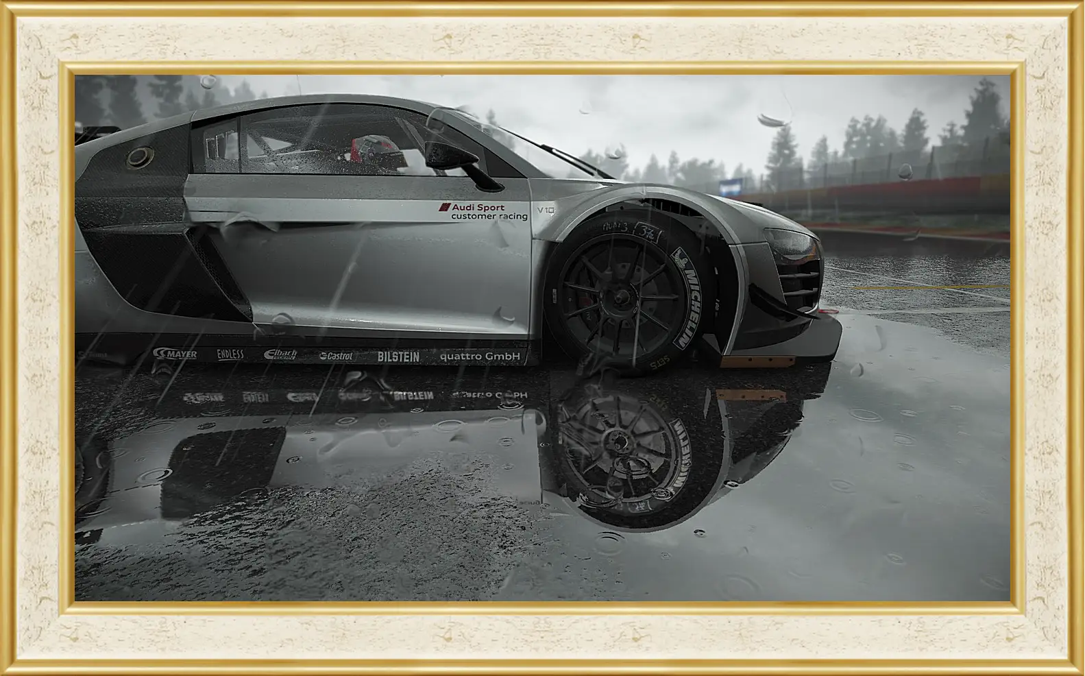 Картина в раме - Project Cars
