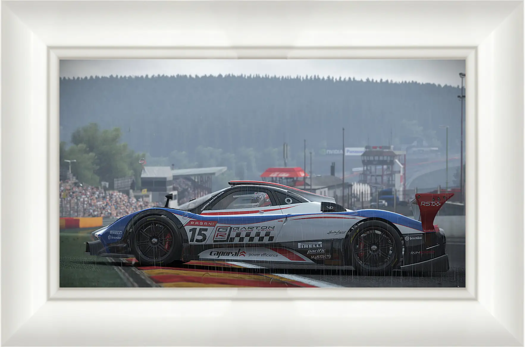 Картина в раме - Project Cars
