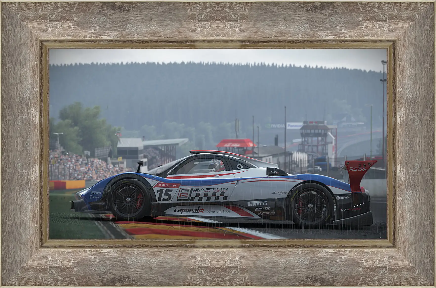 Картина в раме - Project Cars
